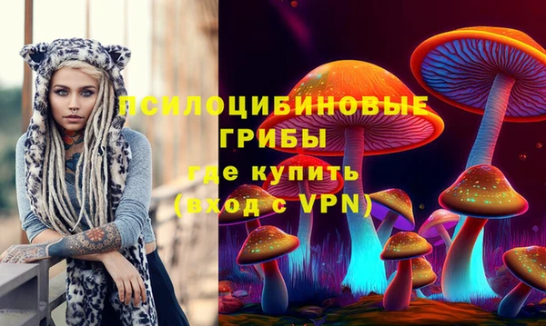 PSILOCYBIN Абаза