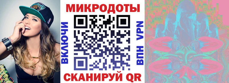 Галлюциногенные грибы Psilocybe Братск