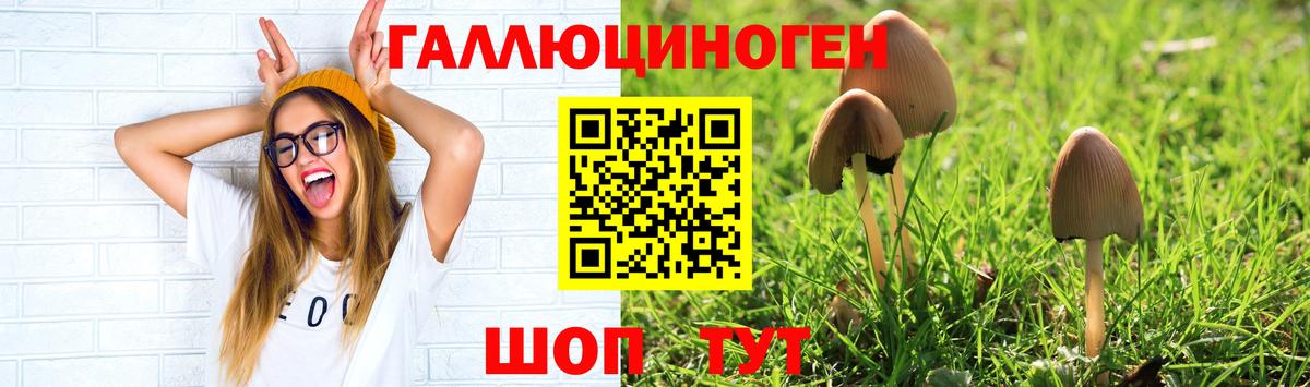Галлюциногенные грибы мухоморы Братск